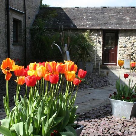 Birslack Grange Kendal Exterior photo